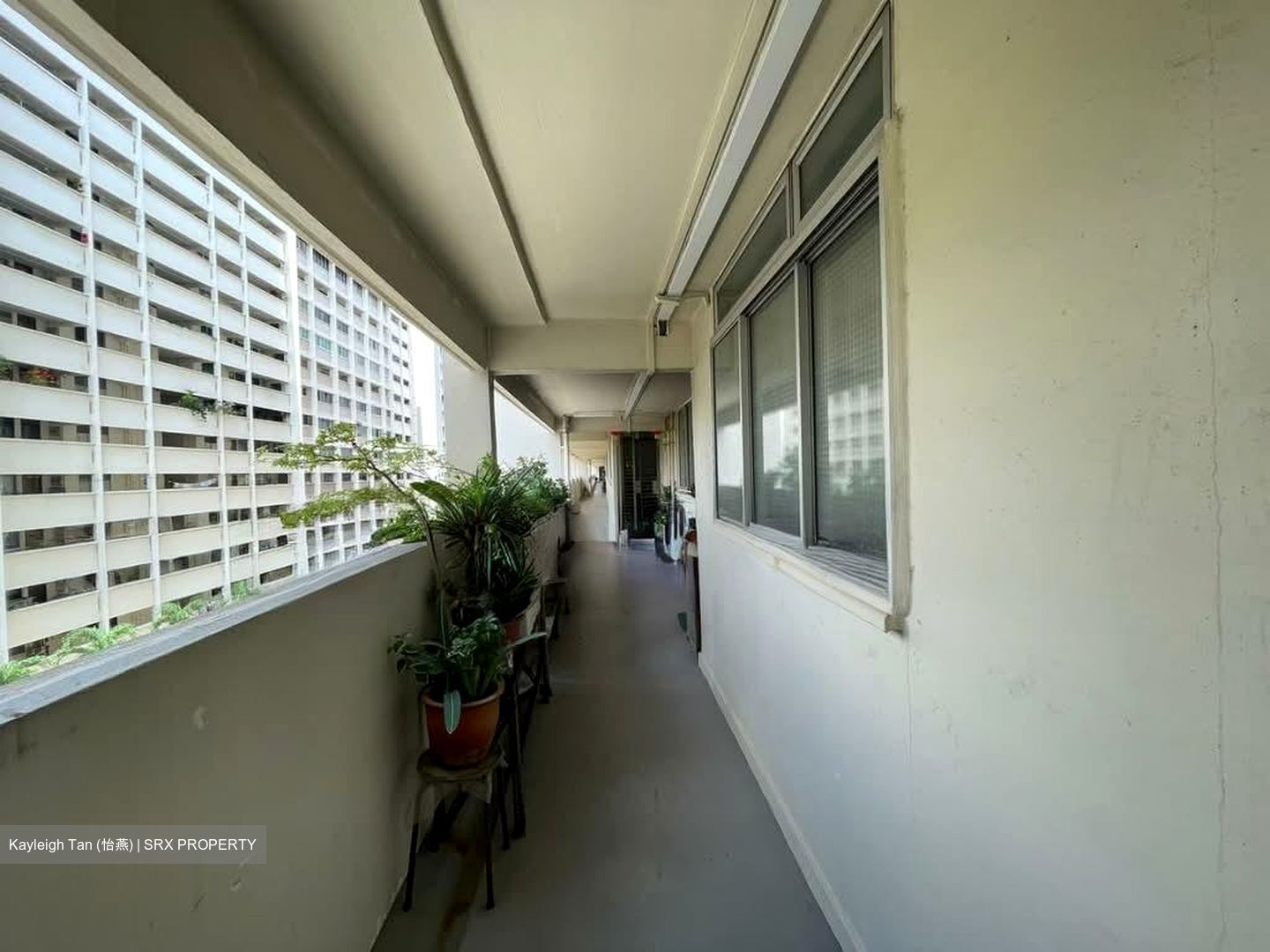Blk 141 Eunos Spring (Bedok), HDB 4 Rooms #552093331